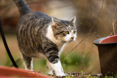 20130224-090814-8.jpg