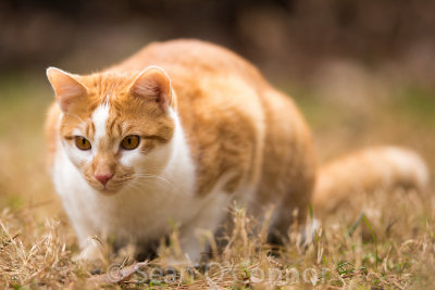 20130302-104948-25.jpg