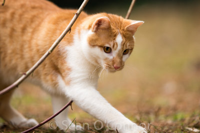 20130302-105216-37.jpg