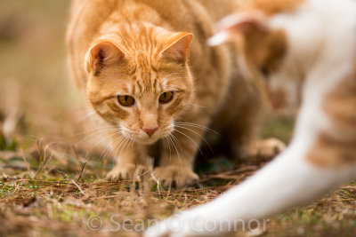 20130302-105255-42.jpg