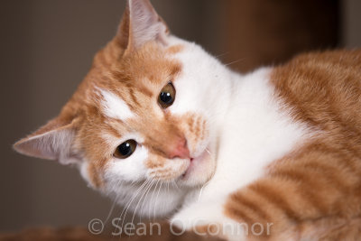 20130303-225833-26.jpg