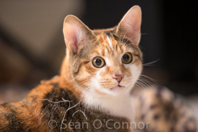 20130303-231748-46.jpg