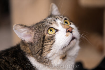 20130303-232015-53.jpg