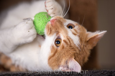 20130303-232229-59.jpg