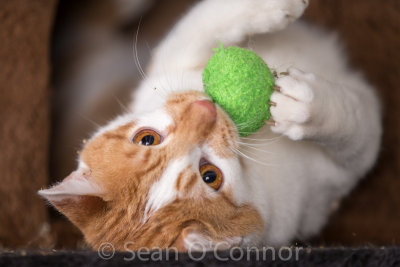20130303-232242-63.jpg