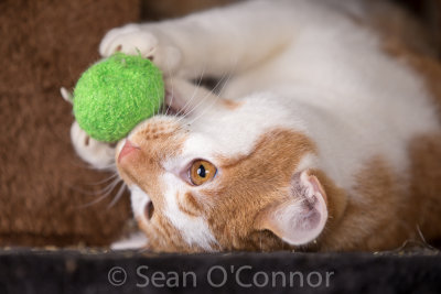 20130303-232246-65.jpg