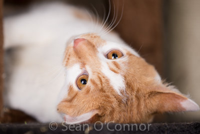 20130303-232539-74.jpg