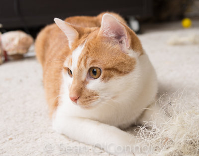 20130303-235902-5.jpg