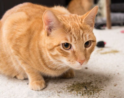 20130304-001312-19.jpg