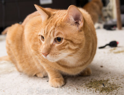 20130304-001324-23.jpg