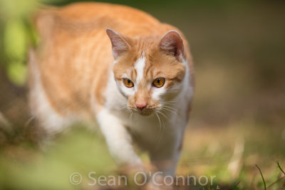 20130304-132420-24.jpg