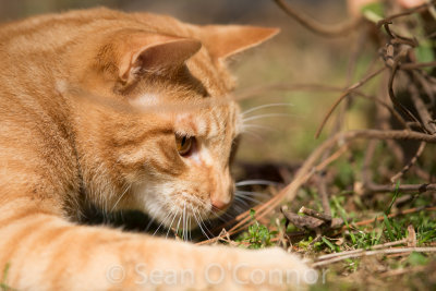 20130304-132736-29.jpg