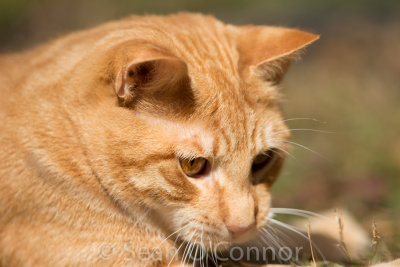 20130304-132755-32.jpg