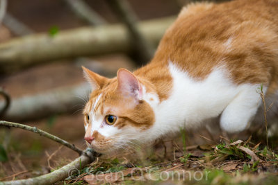 20130304-151859-8.jpg