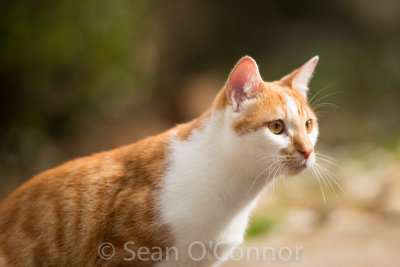 20130305-102539-15.jpg
