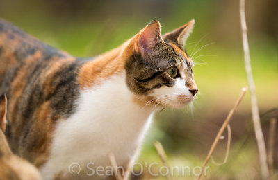 20130305-104122-49.jpg