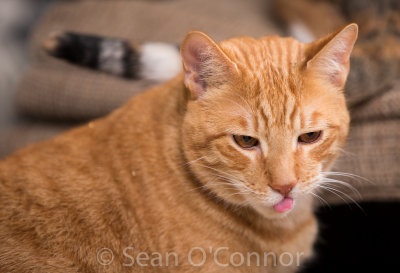 20130307-221424-29.jpg