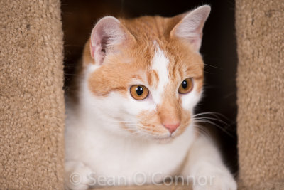 20130307-222252-36.jpg