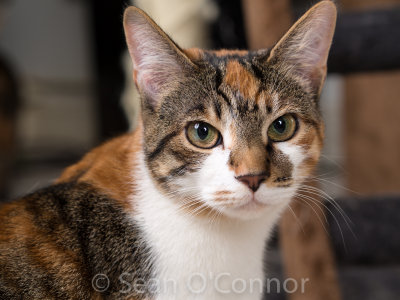 20130307-231432-10.jpg