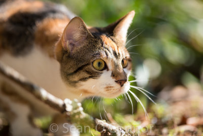 20130308-102322-29.jpg