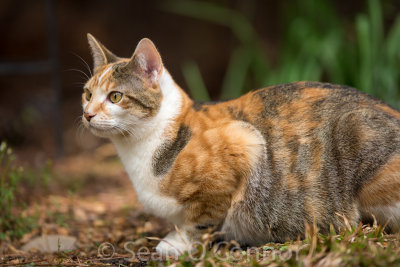 20130310-150637-15.jpg