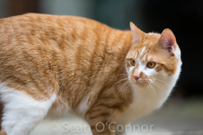 20130310-153127-59.jpg