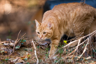 20130315-121323-89.jpg