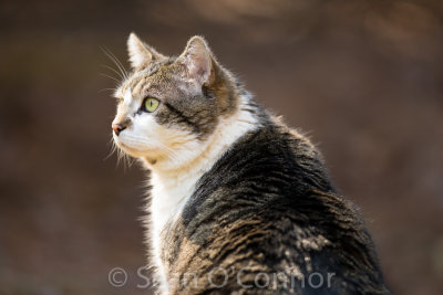 20130315-121557-91.jpg