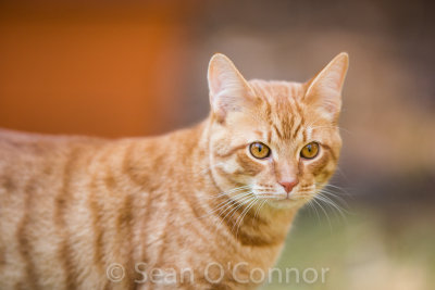 20130315-121649-93.jpg