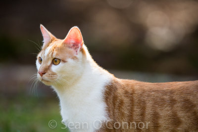 20130315-123235-118.jpg