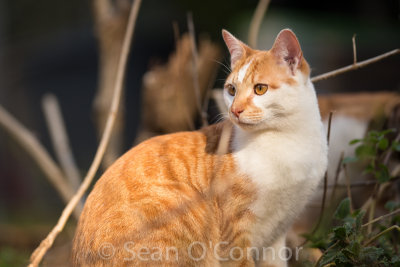 20130315-165636-37.jpg