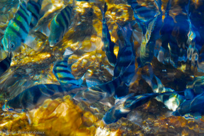 Akumal 2.jpg