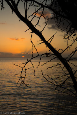 DSC_0725.jpg