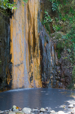 DSC_0887.jpg