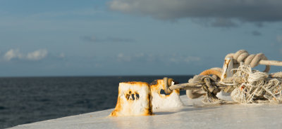 DSC_1018.jpg