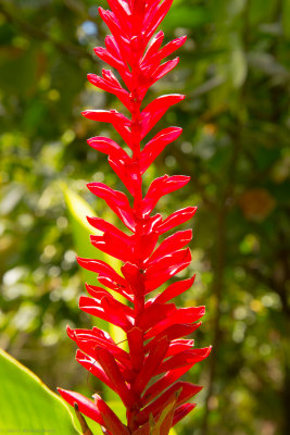 DSC_0879.jpg