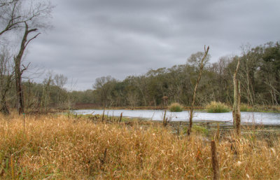 HDR Creekfield 1.jpg