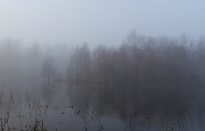 Elm Lake 4.jpg