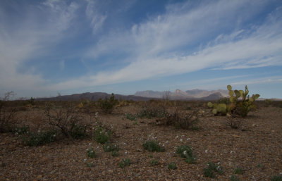 IMG_6387.JPG