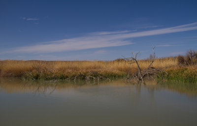 IMG_6572.JPG