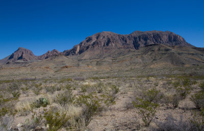 IMG_7539.JPG