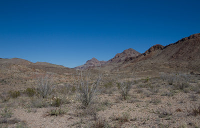 IMG_7546.JPG