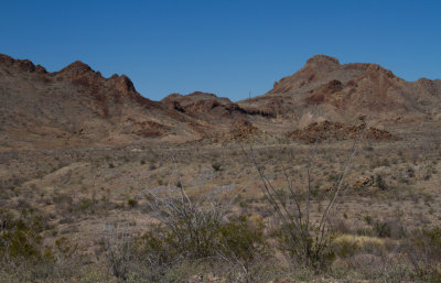 IMG_7552.JPG