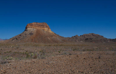IMG_7567.JPG