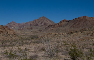 IMG_7573.JPG