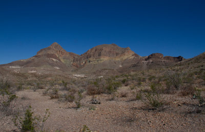 IMG_7574.JPG