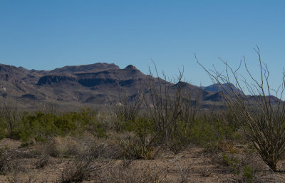 IMG_7596.JPG