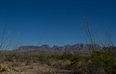 IMG_7601.JPG