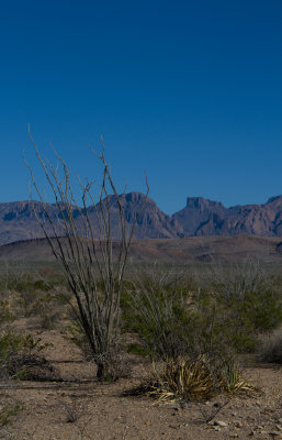 IMG_7603.JPG