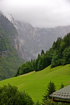 Harmonie en vert et gris